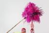feather-duster-709124_1280