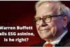 Buffett calls ESG asinine