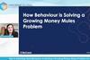 How Behaviour in Solving a Growing Mules Problem