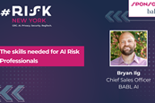 The skills needed for AI Risk Professionals