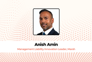 Anish Amin Management Liability Innovation Leader, Marsh