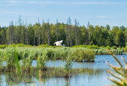 EU issues greenwashing warning amid investments into biodiversity