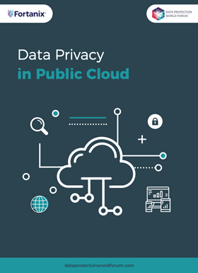 Data Privacy in  the Public Cloud