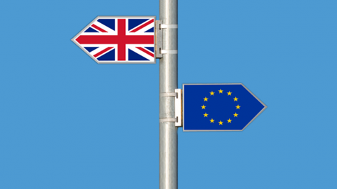 UK and EU decision