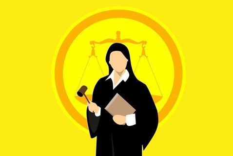 Judge - federal court challenge
