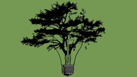 tree bulb Environmant technology
