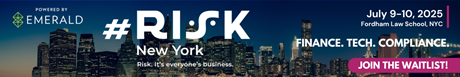 Risk New York - website banner